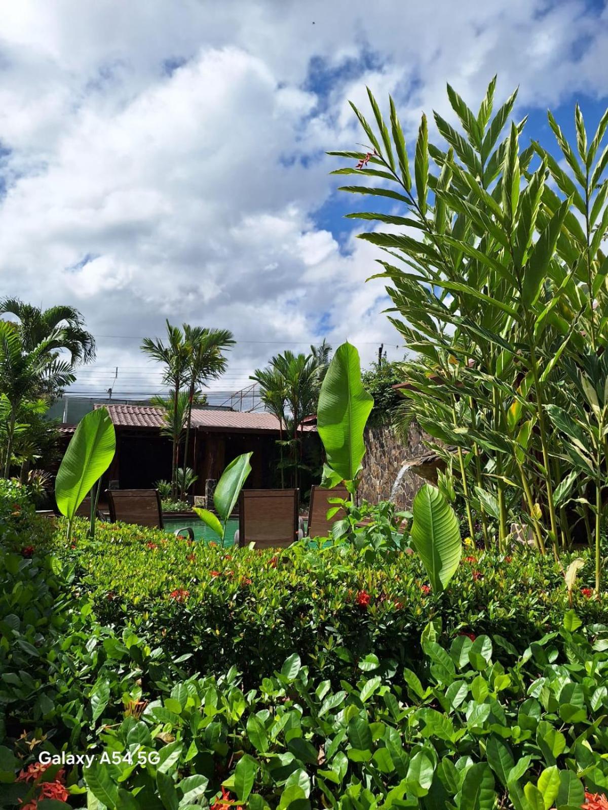 Hotel Iris Arenal La Fortuna Exterior foto